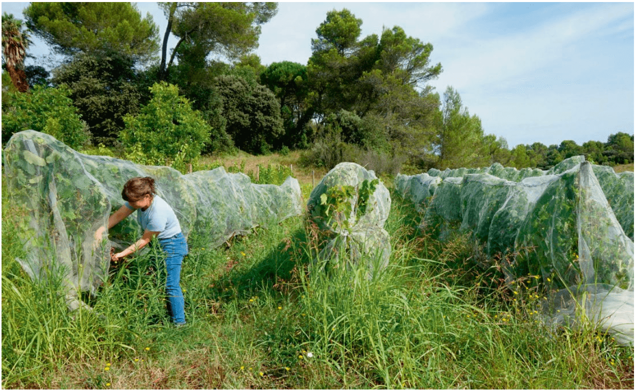 Capture d’écran 2026-01-09 à 14.29.54.png