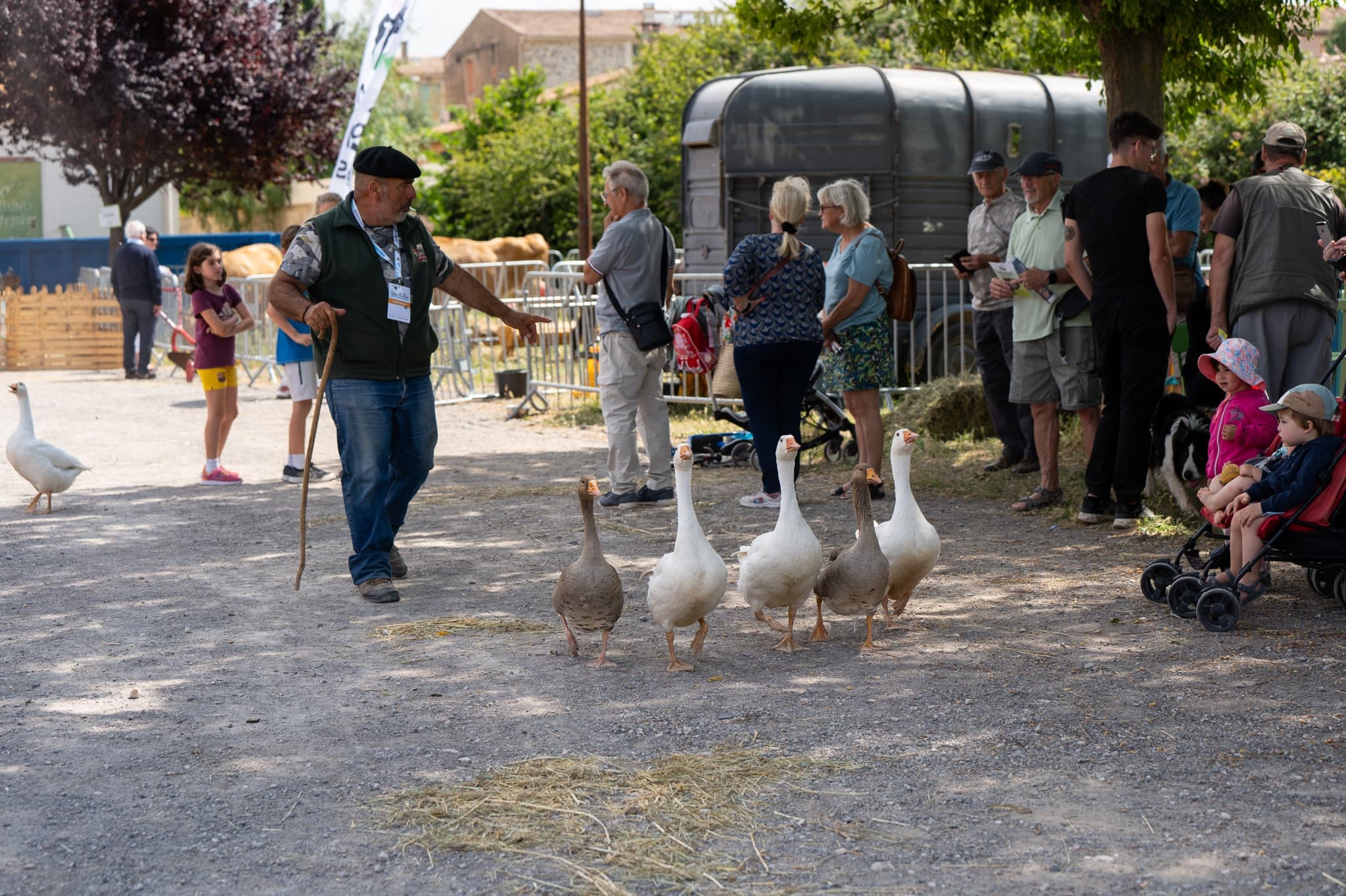 Salon des agricultures méditerranéennes ©Céline Ulvoas