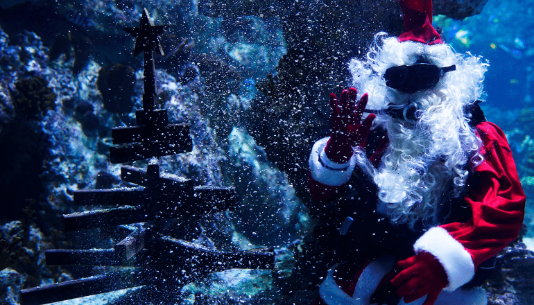 Le Père Noël effectuera une plongée le 22 décembre à 15h ©Planet Ocean