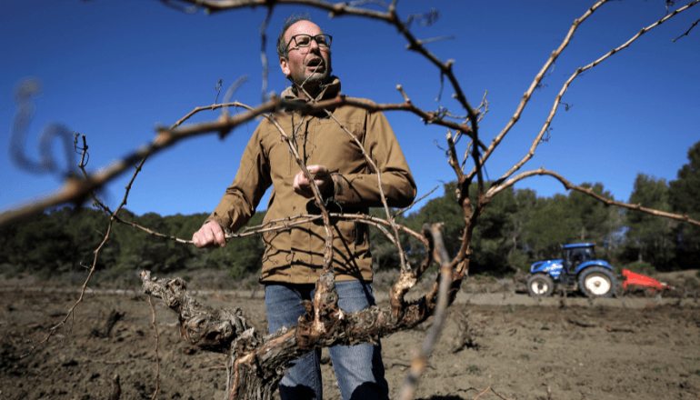 Jean-Pierre Fournier, vigneron, tient dans ses mains une vigne qui vient d’être arrachée dans son champ de Roquefort-des-Corbières, dans l’Aude, le 3 février 2025 © Valentine Chapuis / AFP.