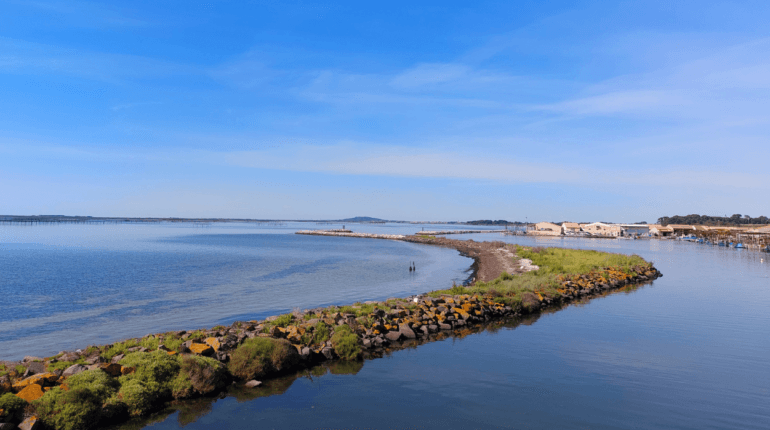 L'étang de Thau offre des balades d'exception ©Hérault Tribune