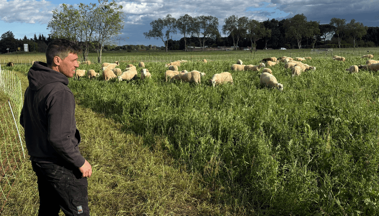 Guillaume Charbonnier est également frigoriste en parallèle de son activité d'éleveur ovin à Lunel © Léo Bihel / Hérault Tribune.
