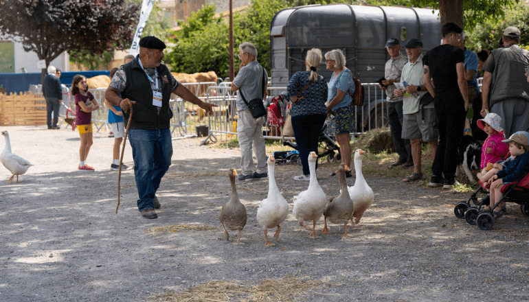 Des démonstrations d'animaux de la ferme sont au programme. © DR